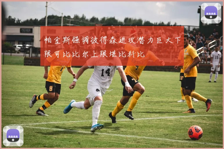帕金斯强调彼得森进攻潜力巨大下限可比比尔上限堪比科比