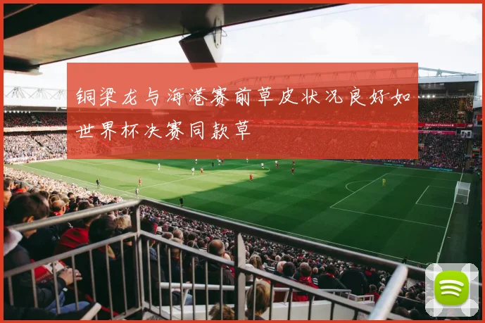 铜梁龙与海港赛前草皮状况良好如世界杯决赛同款草