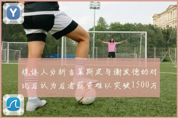 媒体人分析吉莱斯皮与谢泼德的对比后认为后者薪资难以突破1500万
